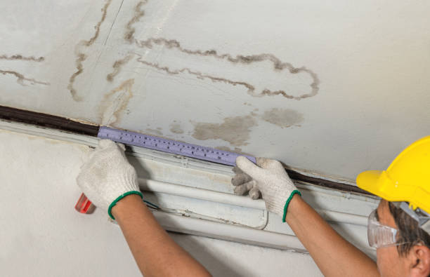 Reliable Water Extraction contractor in Helmetta, NJ by Water Damage Irwin